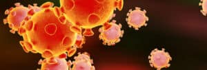 Coronavirus, virus which causes SARS and MERS