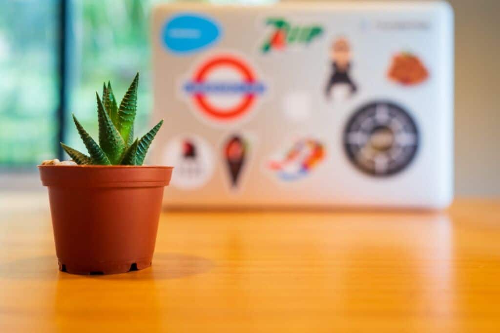 Cactus with Laptop covered in Logos. Your logo isnt as important as you think